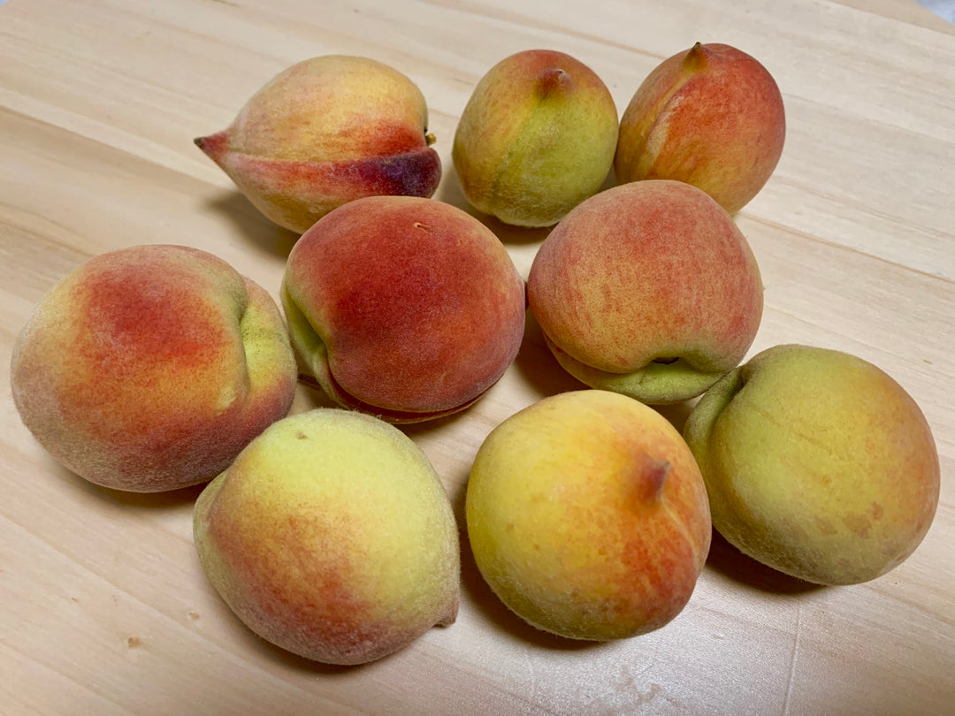 Peach White Fl