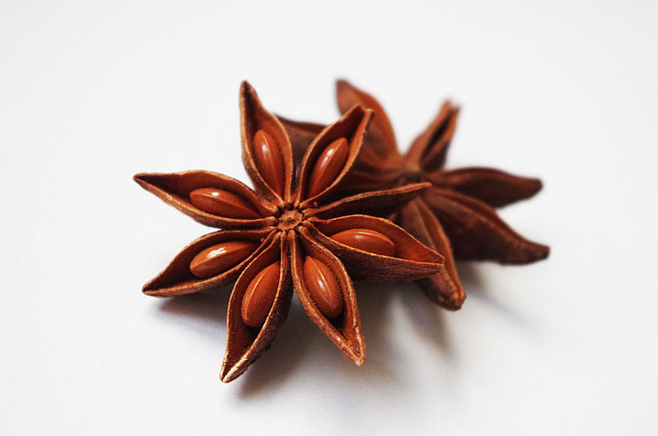 Anise FL