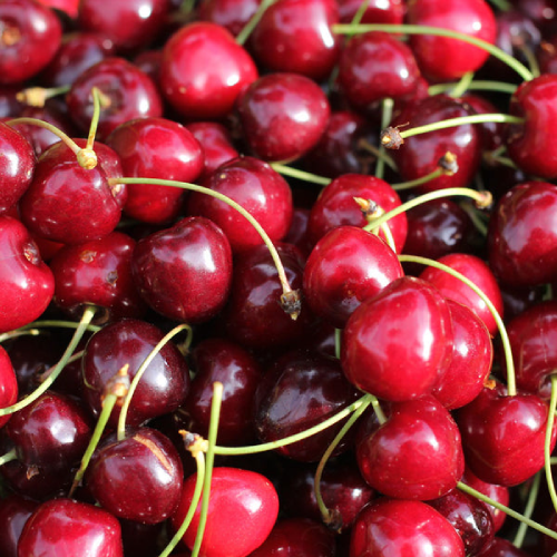 306. Cherry, Bing - Image 1