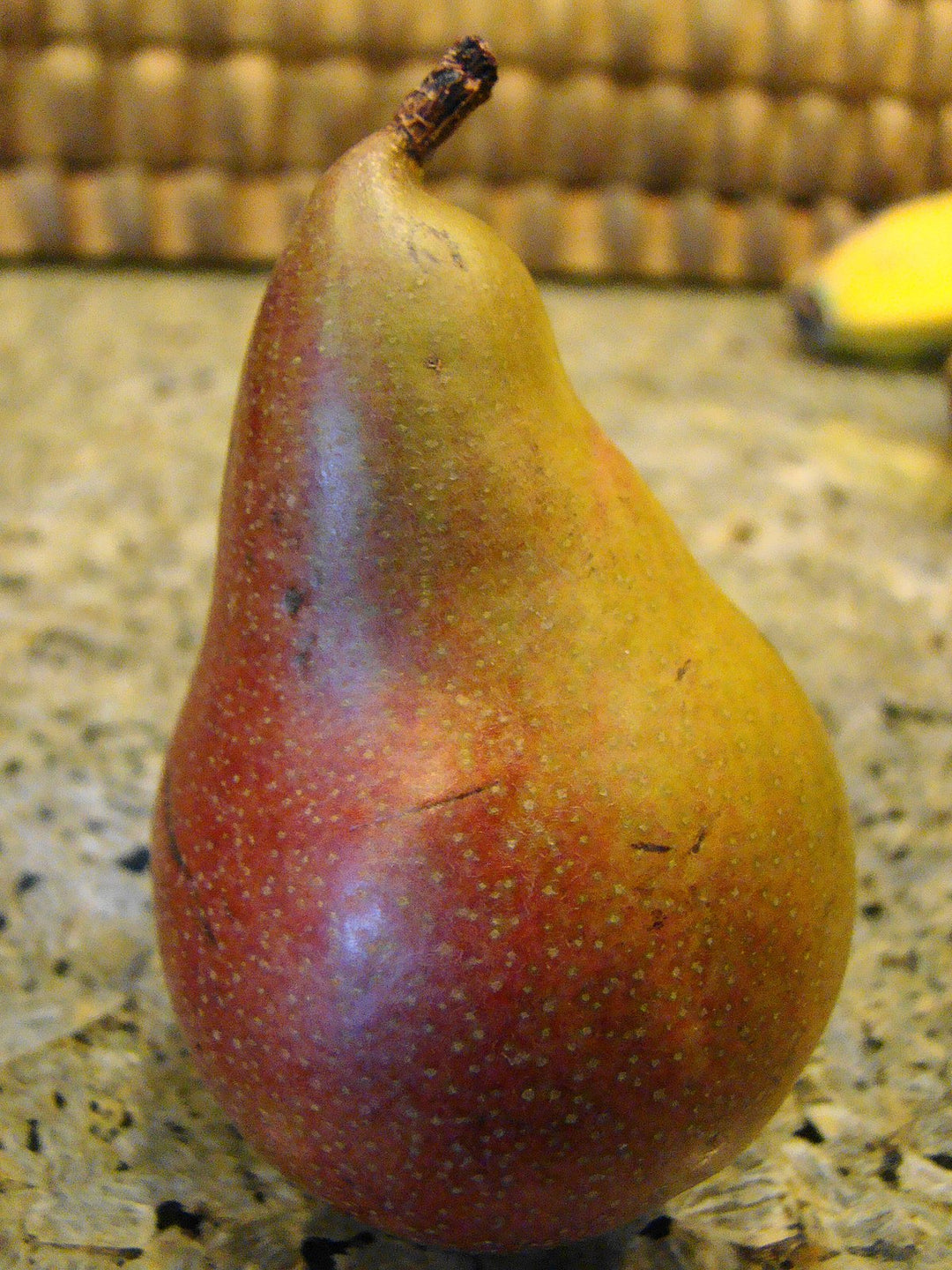 Prickly Pear Nat