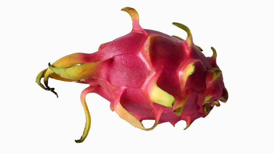 Dragonfruit Type Fl