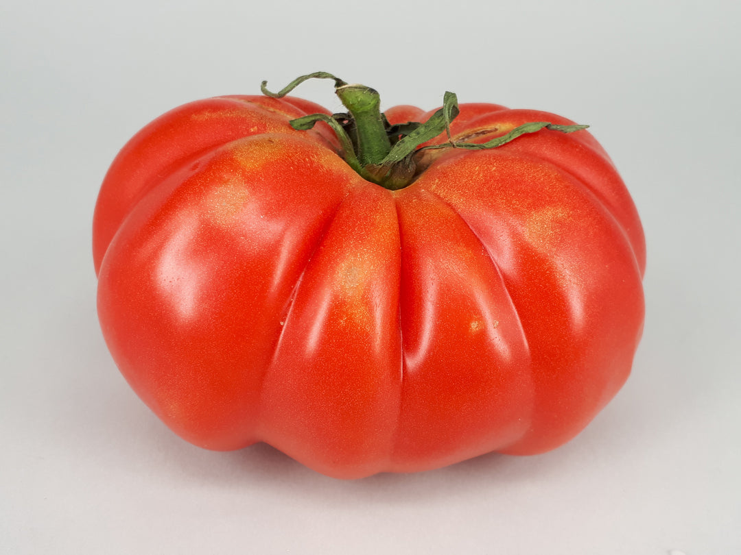 Tomato Fresh Type Fl