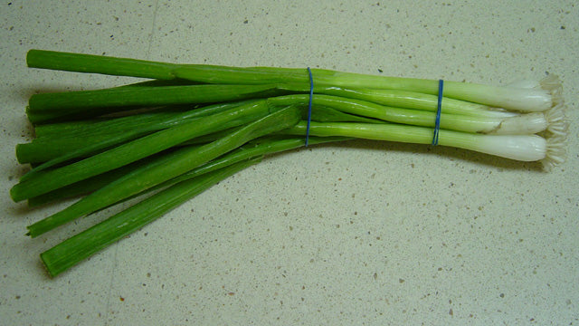 Onion Green (Shallot) Fl