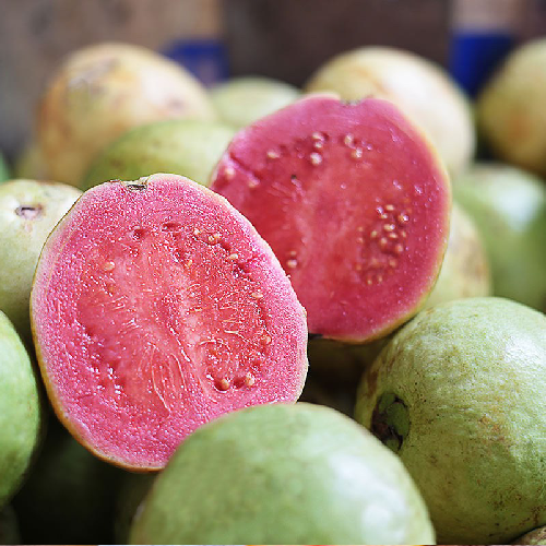 c2 Guava, Pink - Image 1